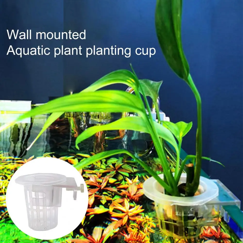 2Pcs Hydroponic Planting Cup  Practical Emersed Plant Fish Tank Aquarium Plant Holder  Non-breakable Aquarium Plant Holder