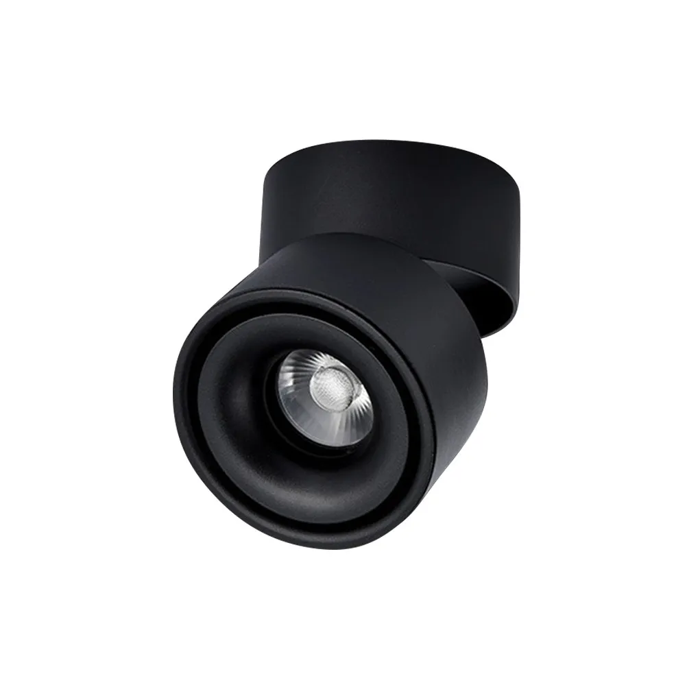 

10W Led Downlight Adjustable Spot Light 360° Rotatable Ceiling Mounted Cob Track Lighting Head For Hotel Restaurant Home Decor