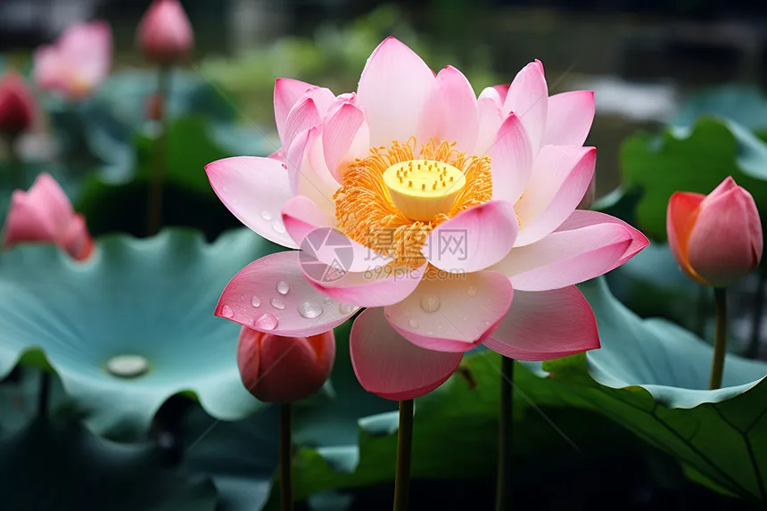 

Металлические улучшенные балочные детали для радиоуправляемых машинок, подходят для MN 1/12 TK300 MN300, аксессуары для радиоуправляемых машинок.