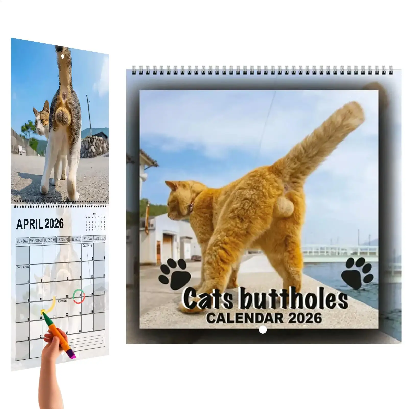 

Wall Calendar 2026 Cat Theme Wall Calendar 2026 Monthly Planner Organizer Scheduling Tool Home Office School Wall Calendar