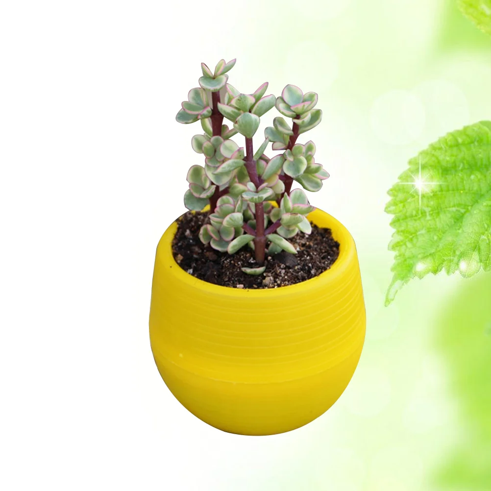 

Floral Nursery Decor Small Containers Yellow Pot for Cacti Planters Indoor Plants Succulent Pots Flower