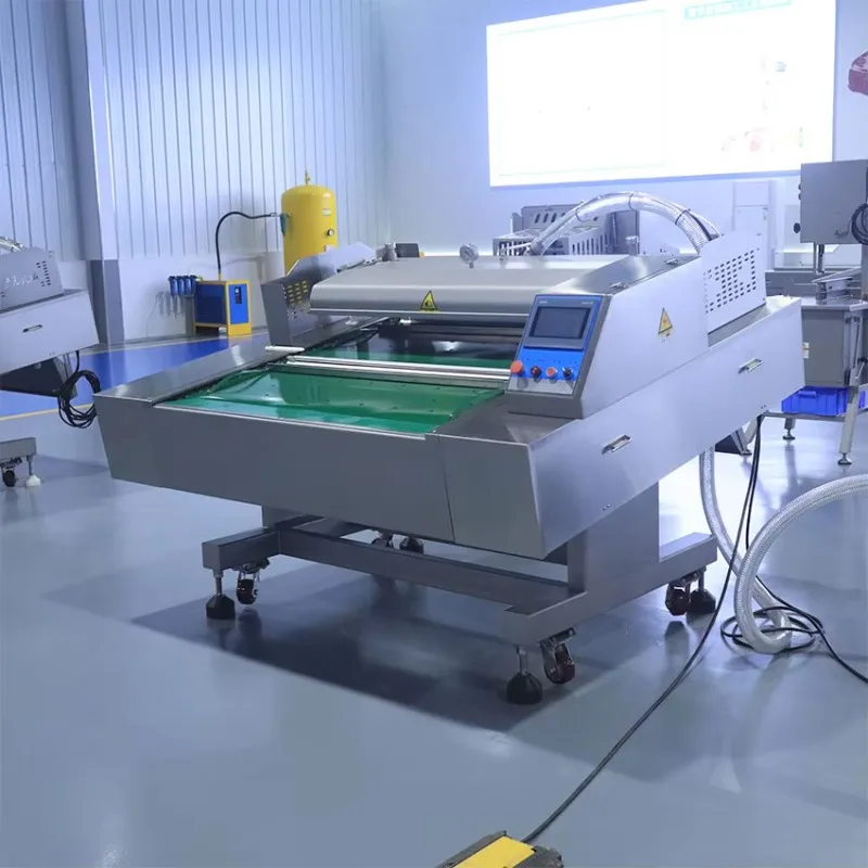 FL Vacuum Packing Sealing Machine Pouch Type Heavy Duty for Peanut Corn Kernel Bean Snack Food Bagging