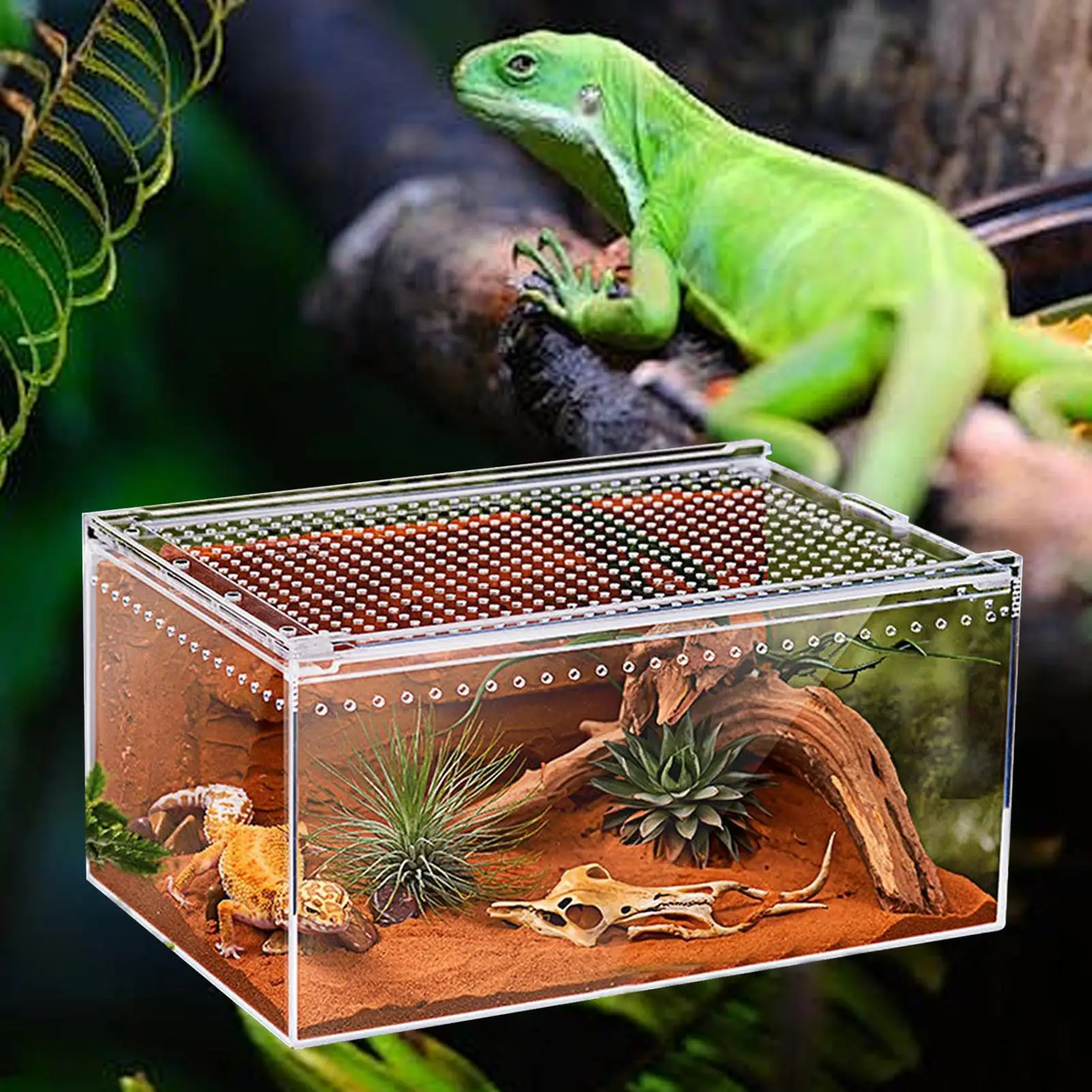 Spider Enclosure Transparent Reptile Terrarium Tank Habitat with Ventilation for Tarantula Gecko Snake Frog Scorpion Lizard ﻿