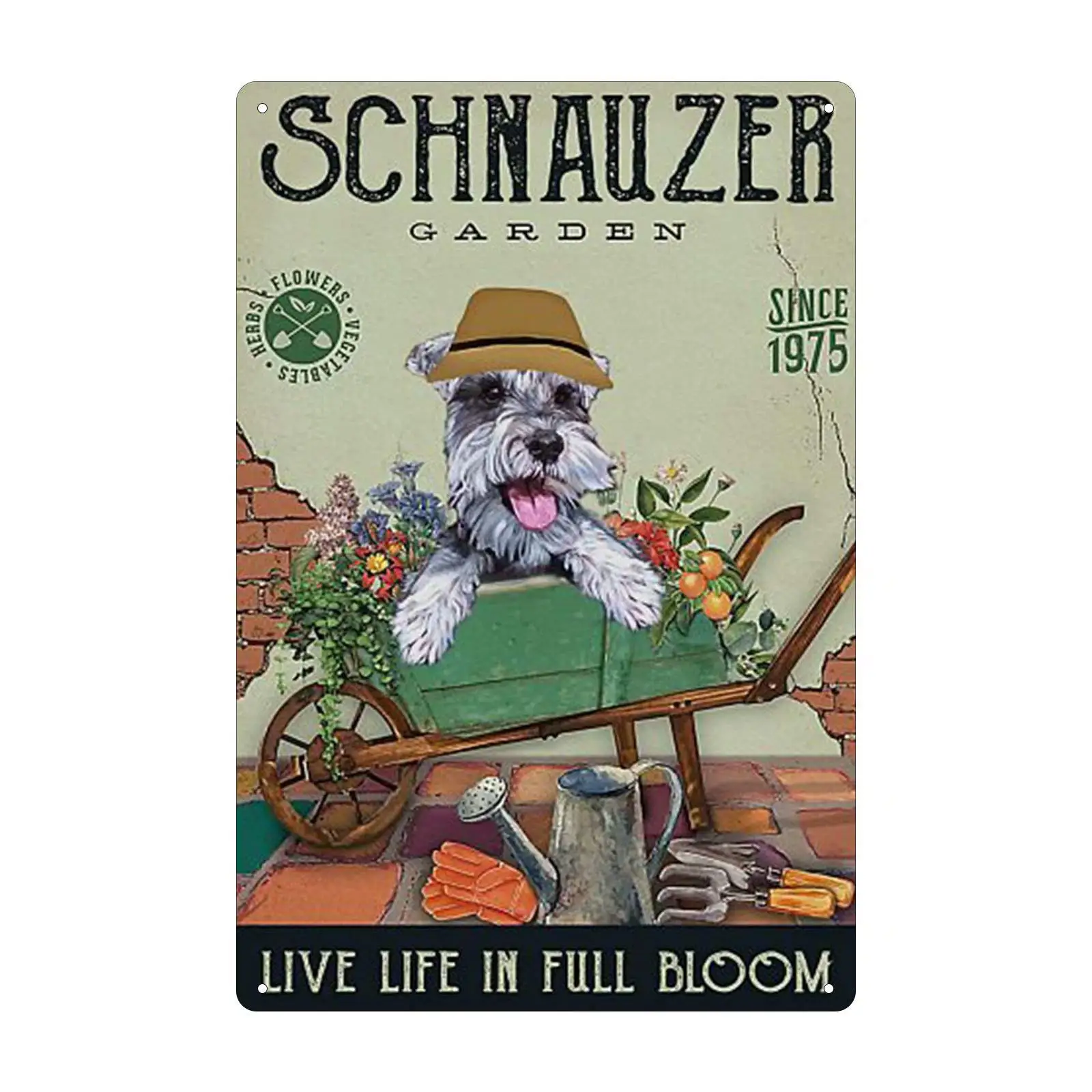 Schnauzer¡¯S Garden Metal Tin Sign, LIVE LIFE IN FILL BLOOM-Vintage Color Poster Wall Art Iron Painting, Suitable For Garden, C