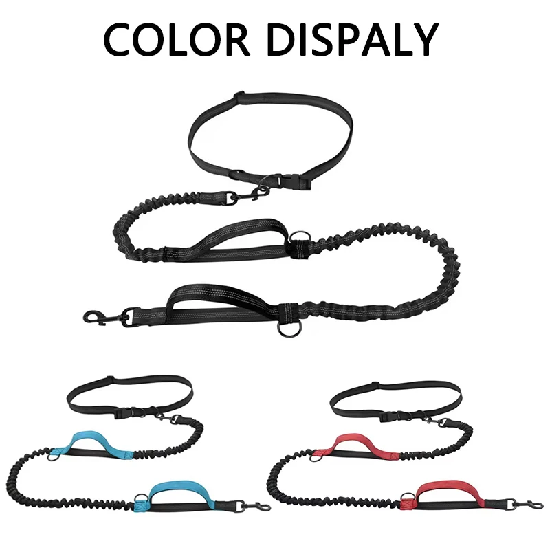 Dual Dog Leash 4