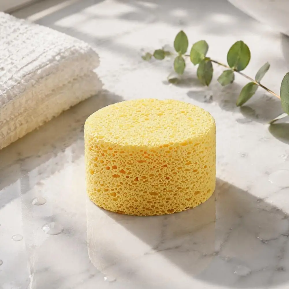 High Absorbency Tools Oven Absorbent Sponge Thickened Kitchen Sponge Scratch-free Mesh Dish Washing Sponge for Car Household Use