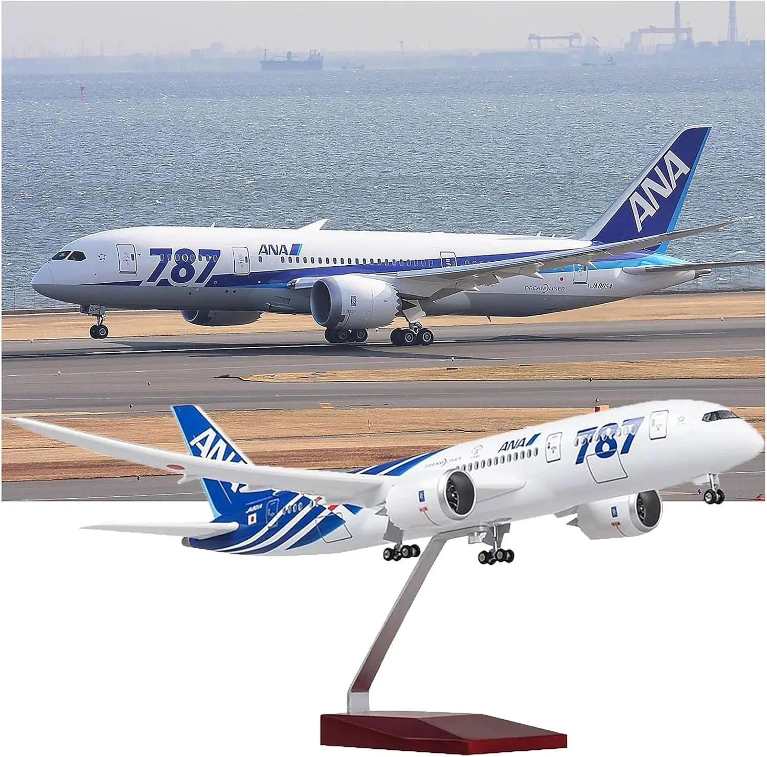 

43cm Resin Aircraft Toy B787Jet Model 1/130 Scale Japan ANA Airlines with Lights And Wheels Educational Collectible Hobby