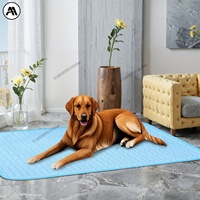 Summer Pets Ice Pad Cooling Floor Ice Pad Bite Resistant Pet Pad Cat Sofa Pads Pet Cooling Mat Dog Cat Sleeping Pads Blanket New