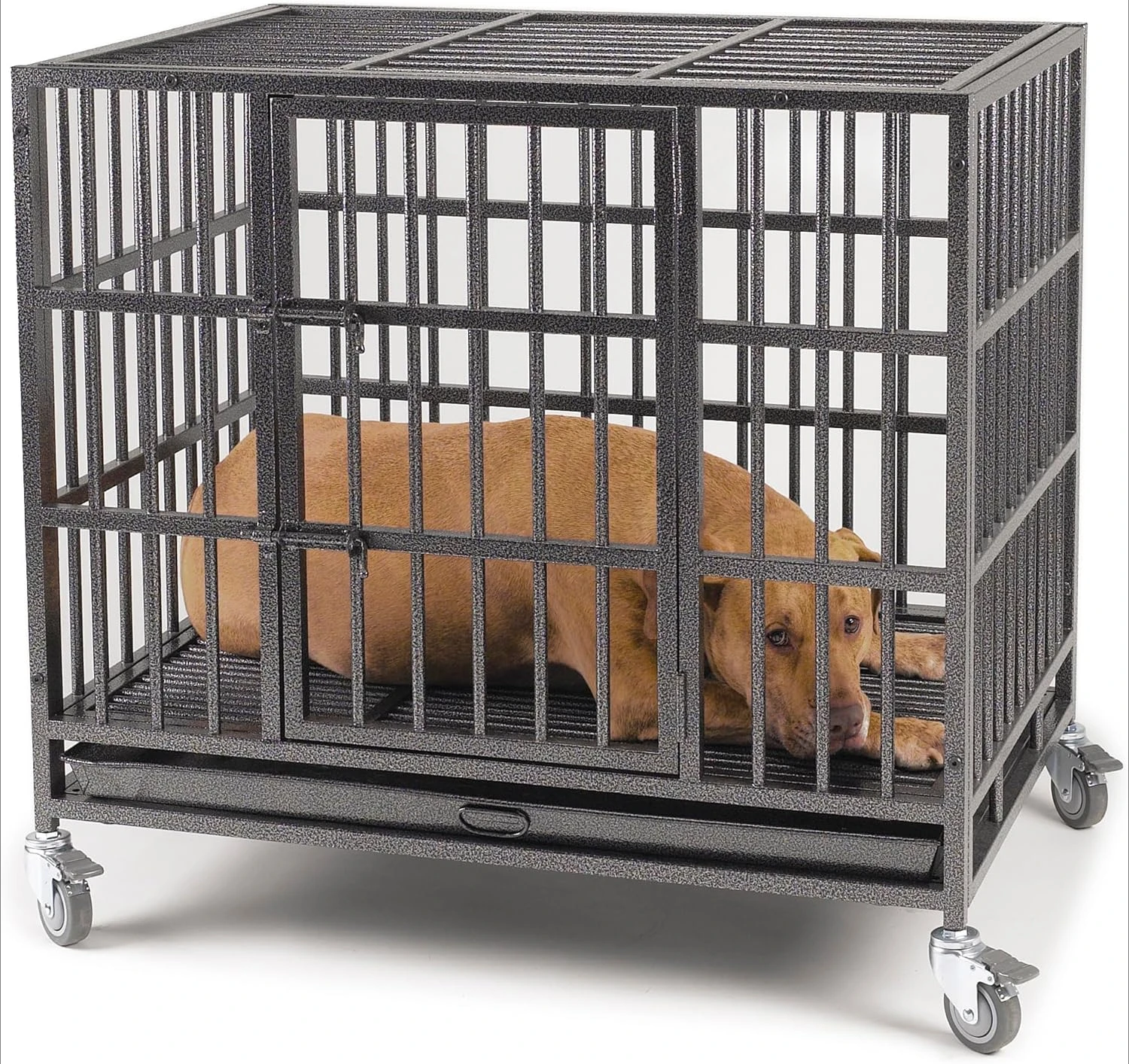 Empire Cage - LARGE