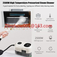High Temperature and Pressure Steam Cleaner 2500W 110V 220V Electric Steaming Cleaner for Air Conditioner Kitchen Hood Cleaning