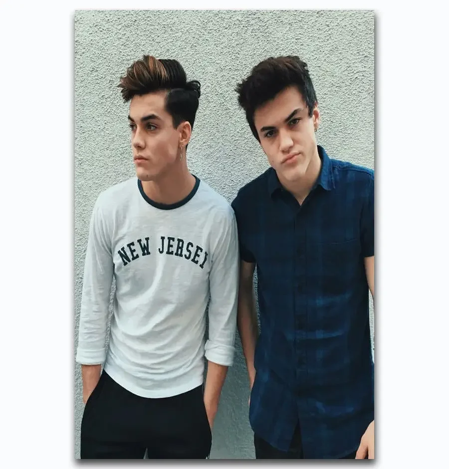 New Dolan Twins Custom Music Group Singer-Silk Art Poster Wall Sticker Decoration Gift