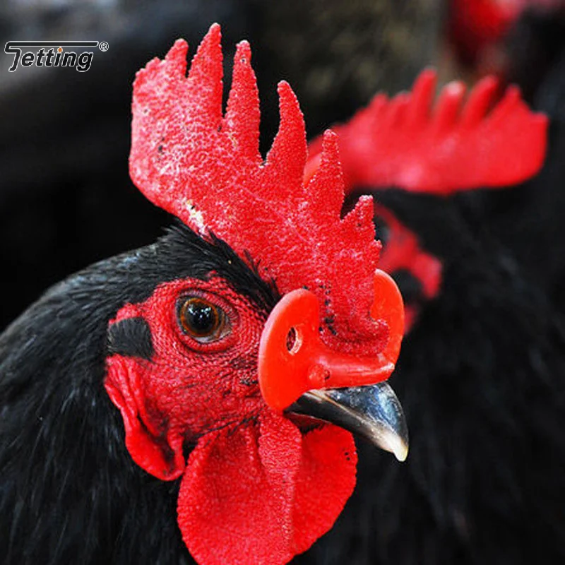 50Pcs Red Plastic Chicken Glasses Pheasant Anti-pecking Goggles Glasses With Bolt Protect Poultry Supplies Hens Farm Accessories