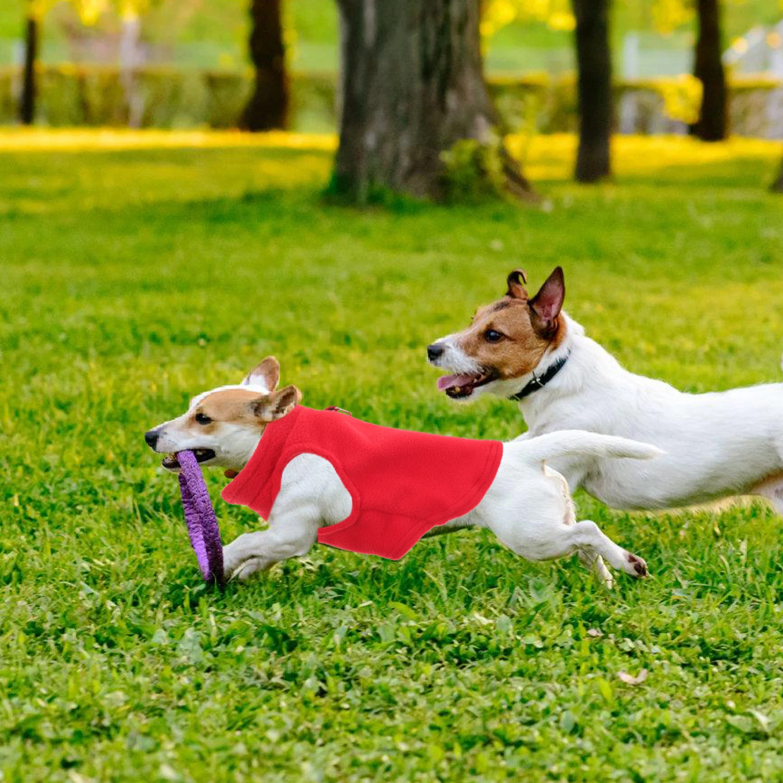

Winter Puppy Solid Color Clothes D-Ring Fleece For Small Dogs Cute Comfortable Supplies Warm Clothing Sleeveless Sweater Autumn