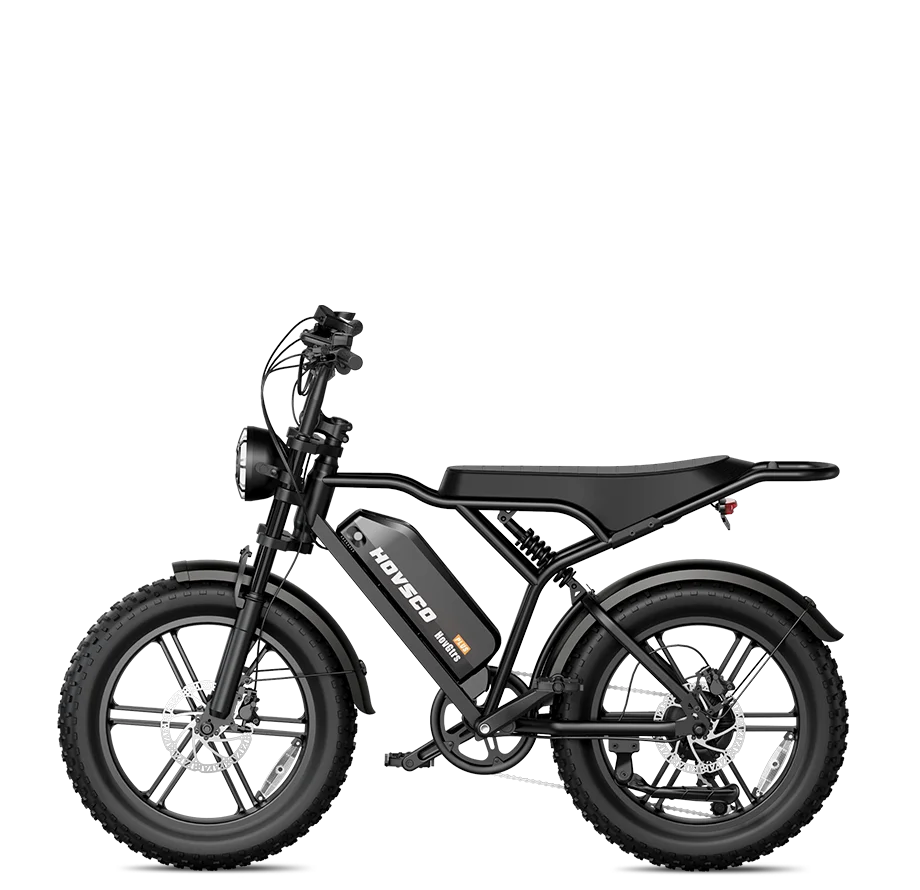 # V8 V20 Fat Electric Bicycle With Rear Rack 20 Inch Fat Tire Ebike High Power Motor 7 Speed High Speed Bike