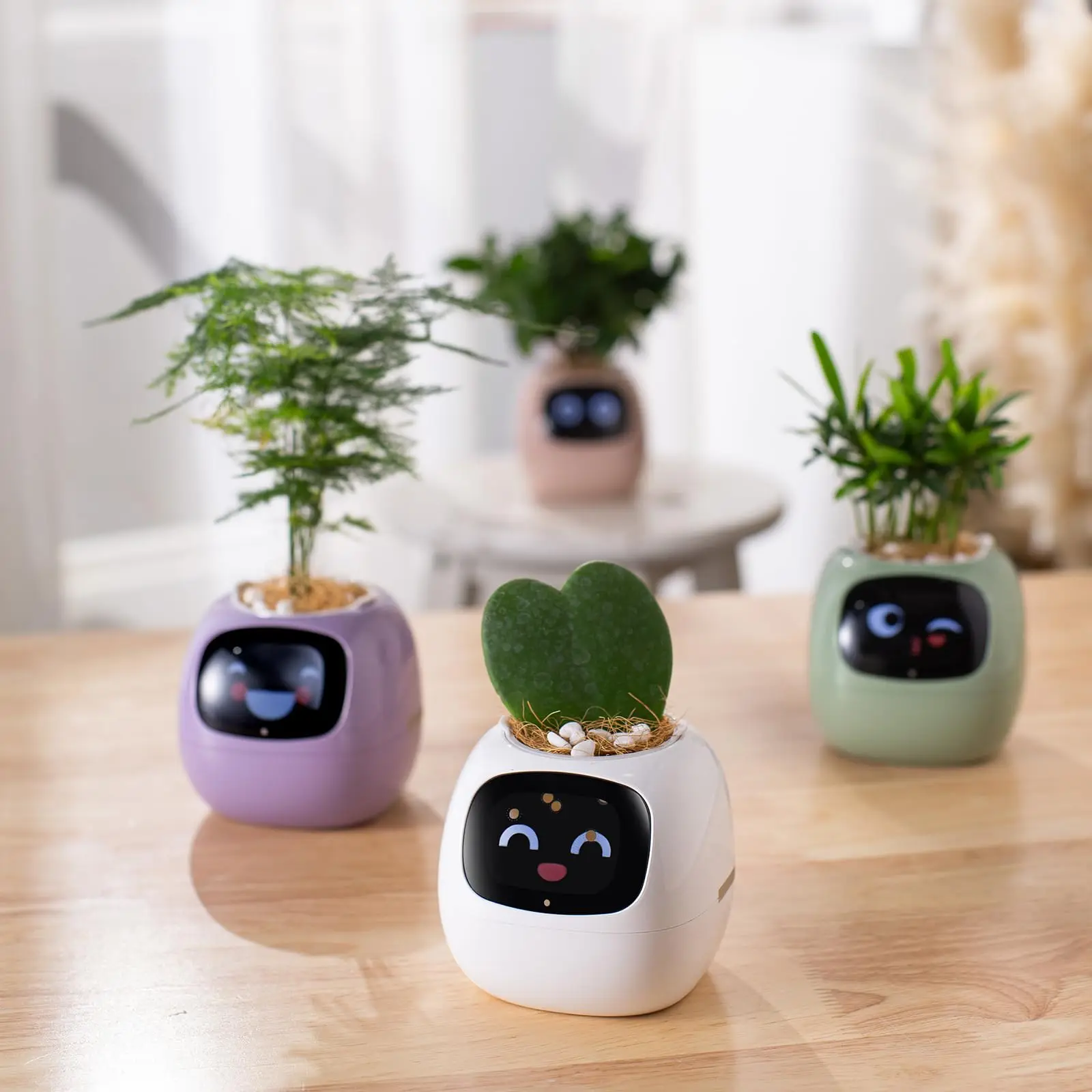 

TopSupply Adorable Plant Companion with Rich Gesture Interaction IVY Smart Pet Planter Robot Guidance on Plant Care with Emojis