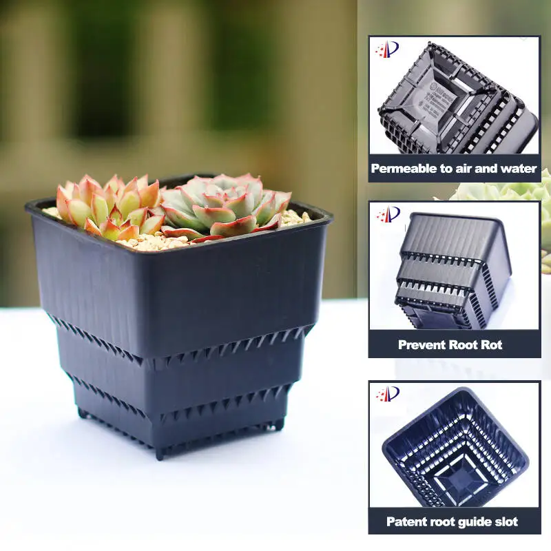 أصيص شبكي أسود قابل للتنفس وصديق للصرف، أوعية عصارية لزراعة الصبار - مثالي للمبتدئين