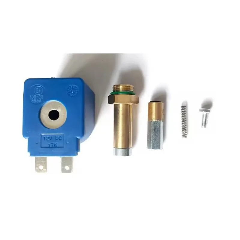 LPG Vehicle Oil To Gas Tomasetto Coil Spool Valve Cartridge AT07/AT09/AT13 Solenoid Valve Accessories