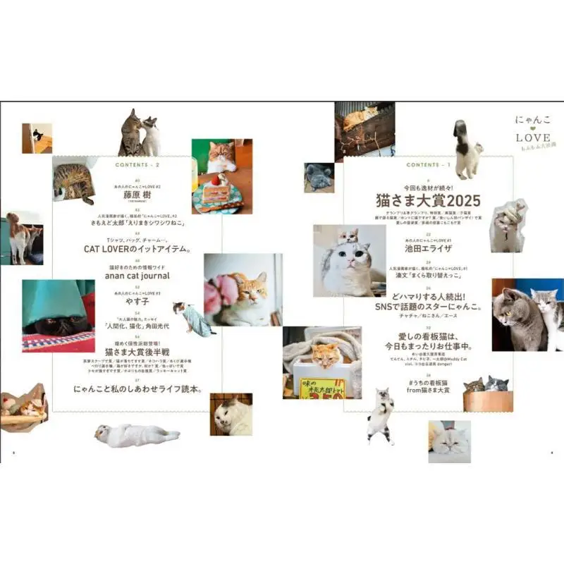 Anan Special Edit Nyanko LOVE Mofufufu Traffic Jam Magazine House Magazine House 9784838757220 Book