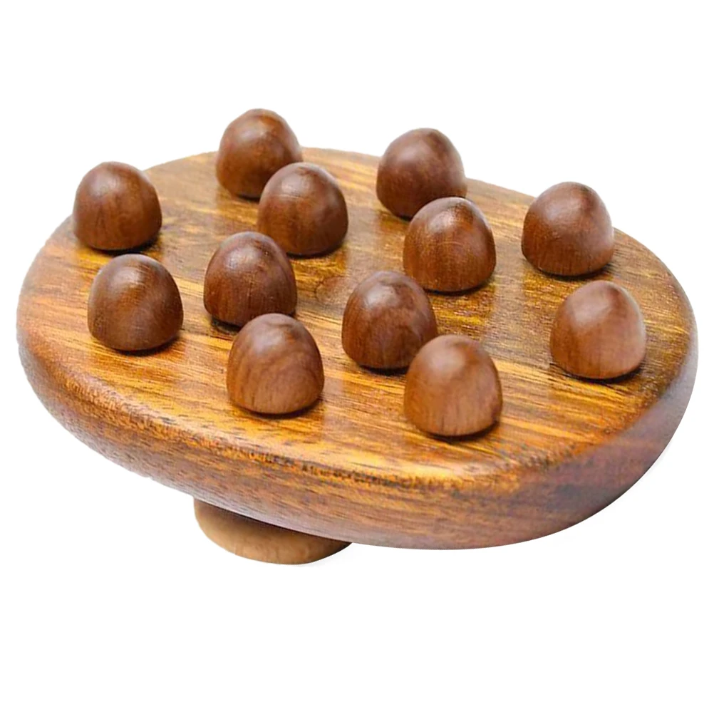 

12 Jade Balls Massage Brush for Cellulite Lymphatic Drainage Wood Therapy Tools Body Shaping Stomach Fascia Massager Dry