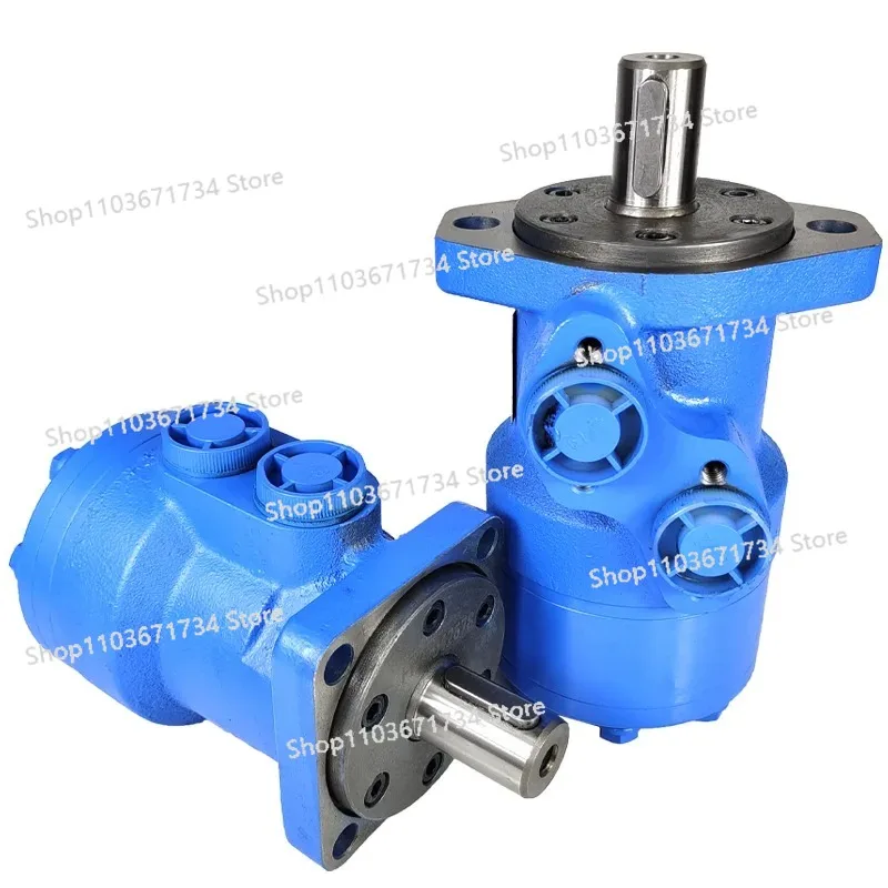 

Hydraulic Cycloidal Motor BMR-50 80 100 125 160 200 250 315 400 500
