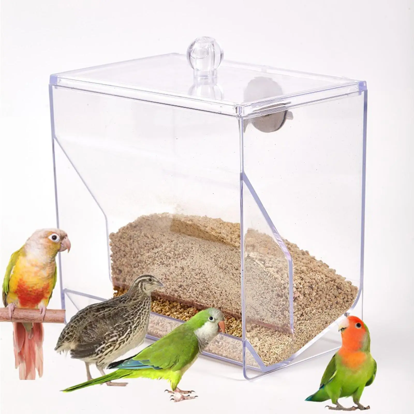 Automatic Bird Feeder Transparent Bird Feeding for Budgie Lovebirds Canaries