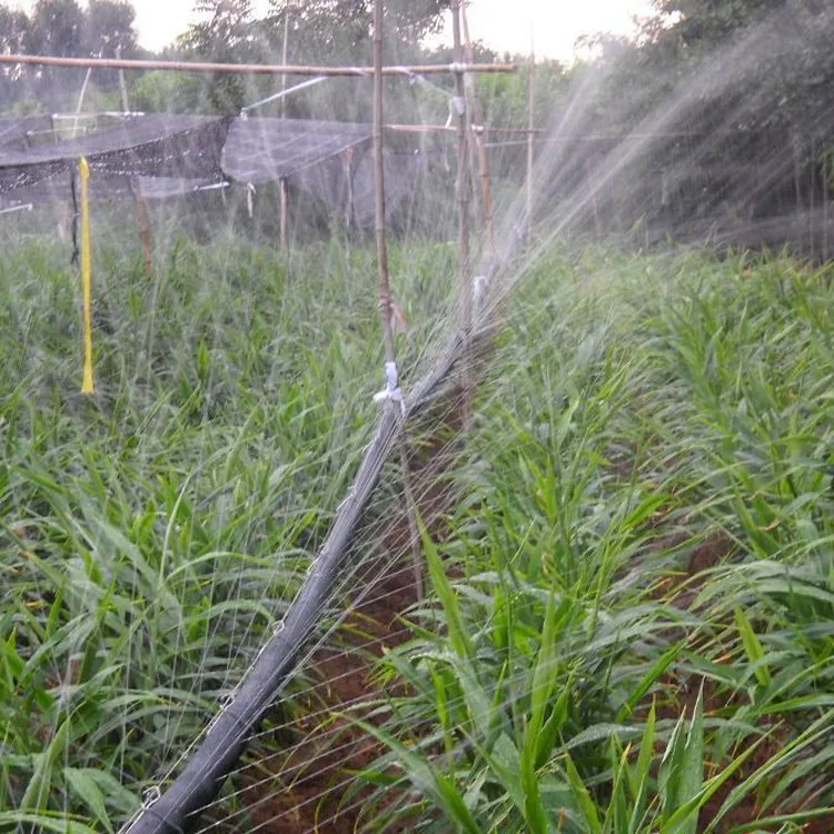 Mikro-Regenschlauch für die landwirtschaftliche Bewässerung - zdjęcie 1