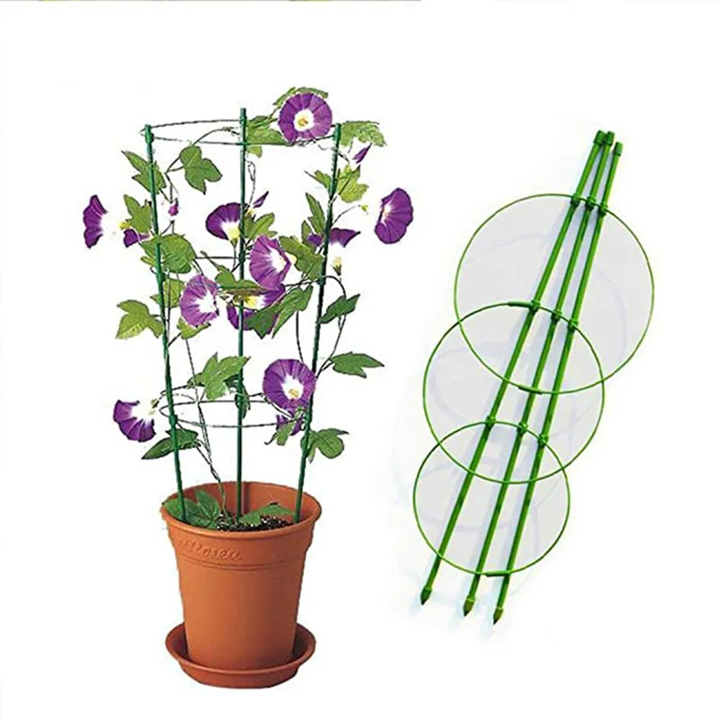 2pc Plant Support Cage Flowers Stand Rings Tomato Support Durable Creative Climbing Vine Rack Garden Basket Plant Fixed Climbing