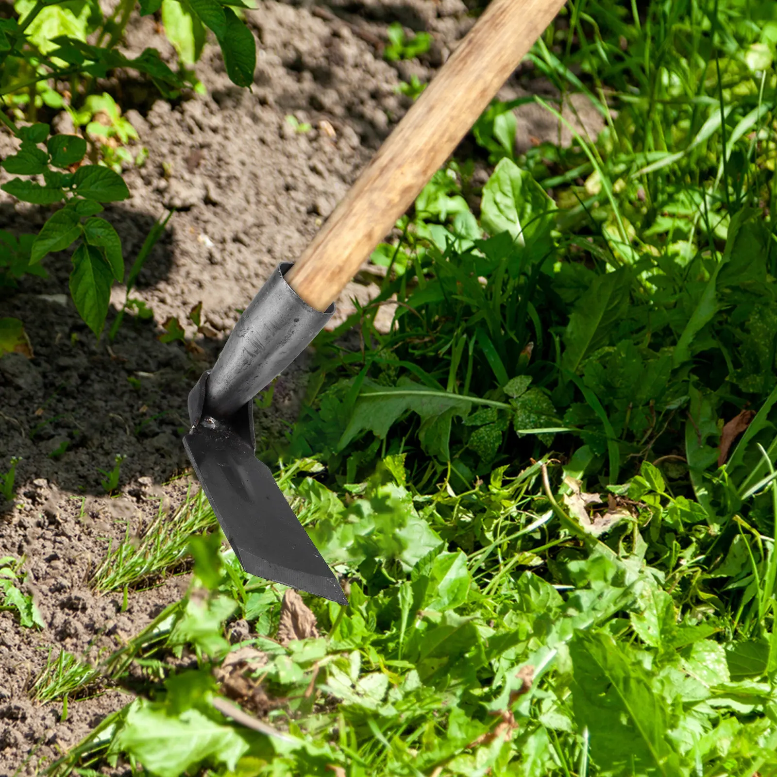 Farm Hoe Head Replacement Heavy Duty Garden Hand Hoe for Agricultural Tilling Digging Weeding Planting Soil Loosening Tool