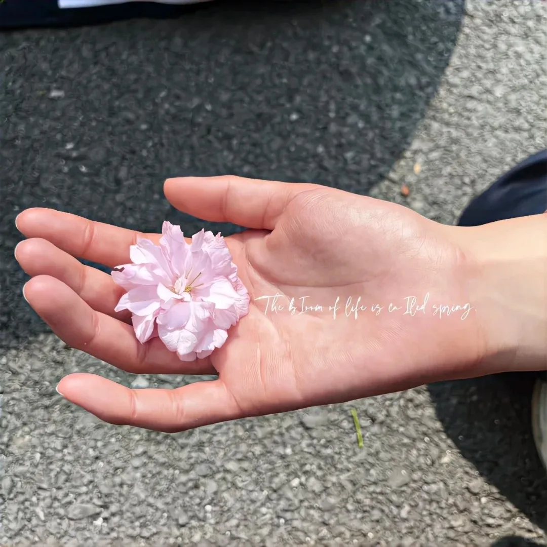 

Новейший аппарат 2026 года: профессиональный медицинский липолазер с ультразвуковой вакуумной кавитацией и RF-технологией, готов к отгрузке