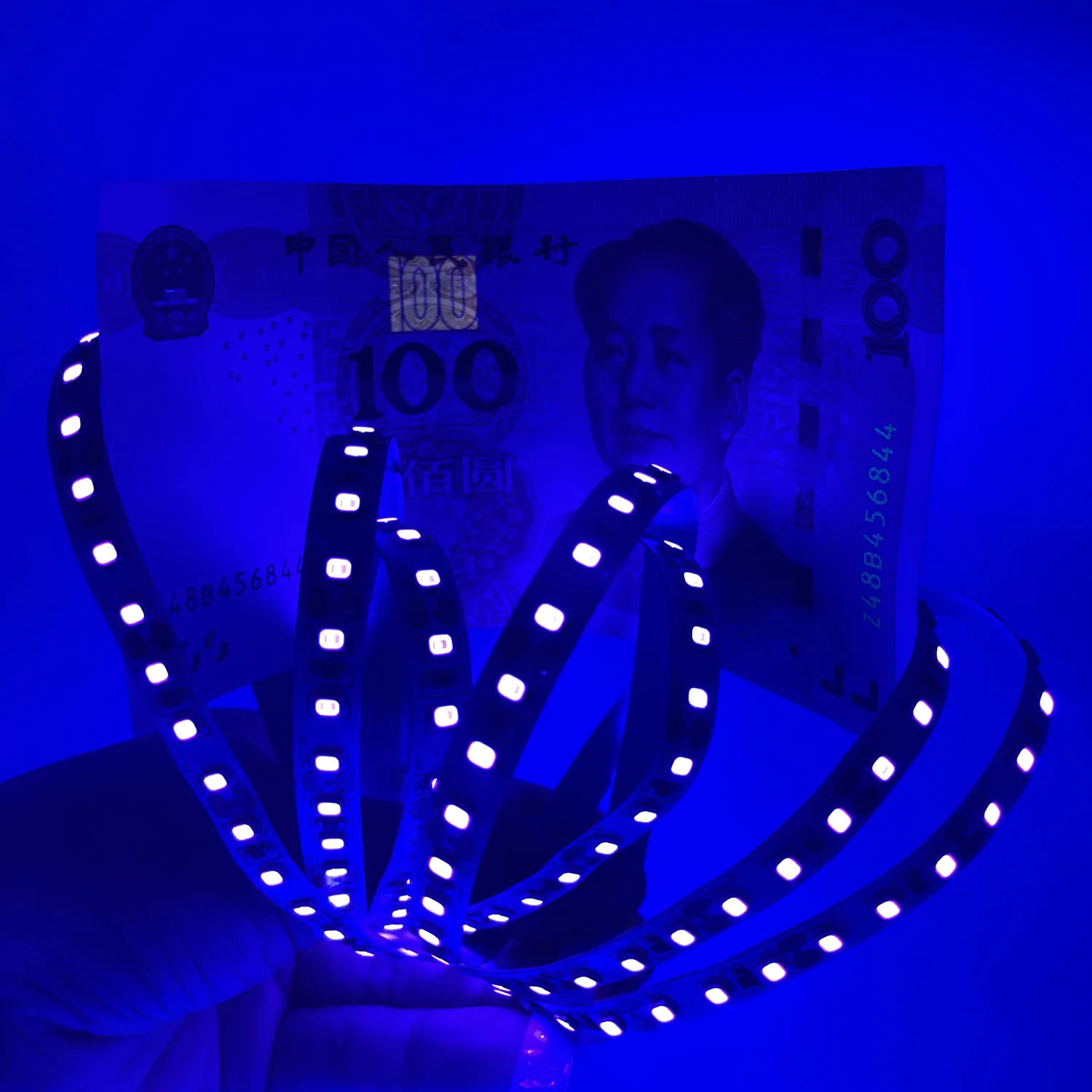 5V/12V/24V UV Led Strip Ultraviolet 395-405nm Black Light 5050 2835 SMD Waterproof Tape Lamp 60/120Led for DJ Fluorescence party