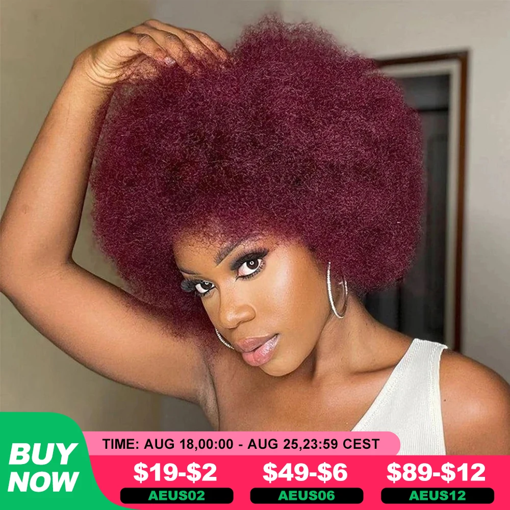 

Rebecca Afro Kinky Curly Wig For 99j Women Remy Brazilian Human Hair Short Sassy Human Hair Wigs Natural Brown Burgundy Rebecca