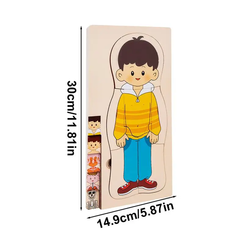 Piezas del cuerpo, rompecabezas, piezas del cuerpo para niños, aprendizaje, juegos de rompecabezas realistas creativos para la escuela en casa, laboratorio preescolar, ciencia en el aula