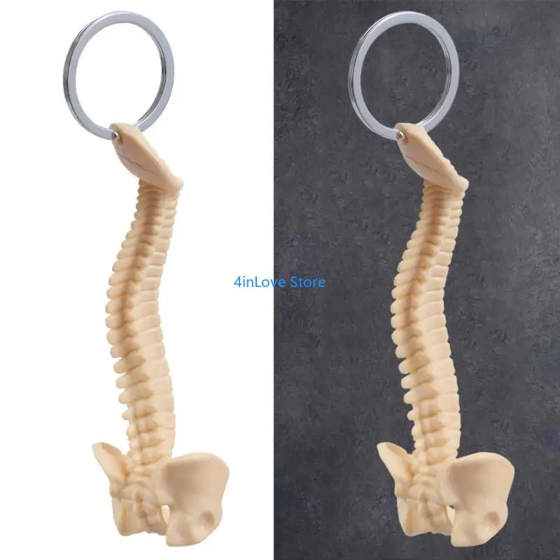T4MD Unique Human Vertebral Column Keychain Car Charm for Doctors and Collectors