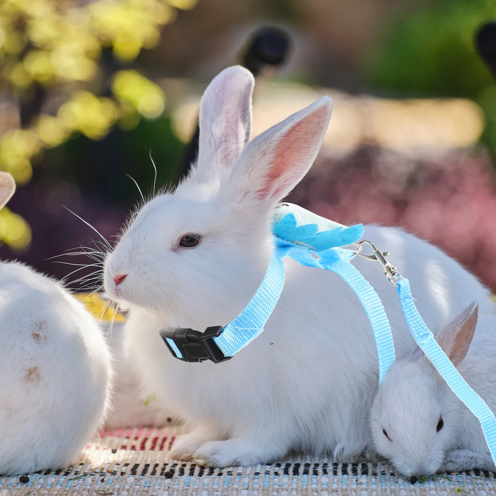 

Pet Harness Adjustable Bunny Leash Small Dog Kitten Vest Polyester Summer Rabbit Outdoor Supplies Travel Long Rope Durability