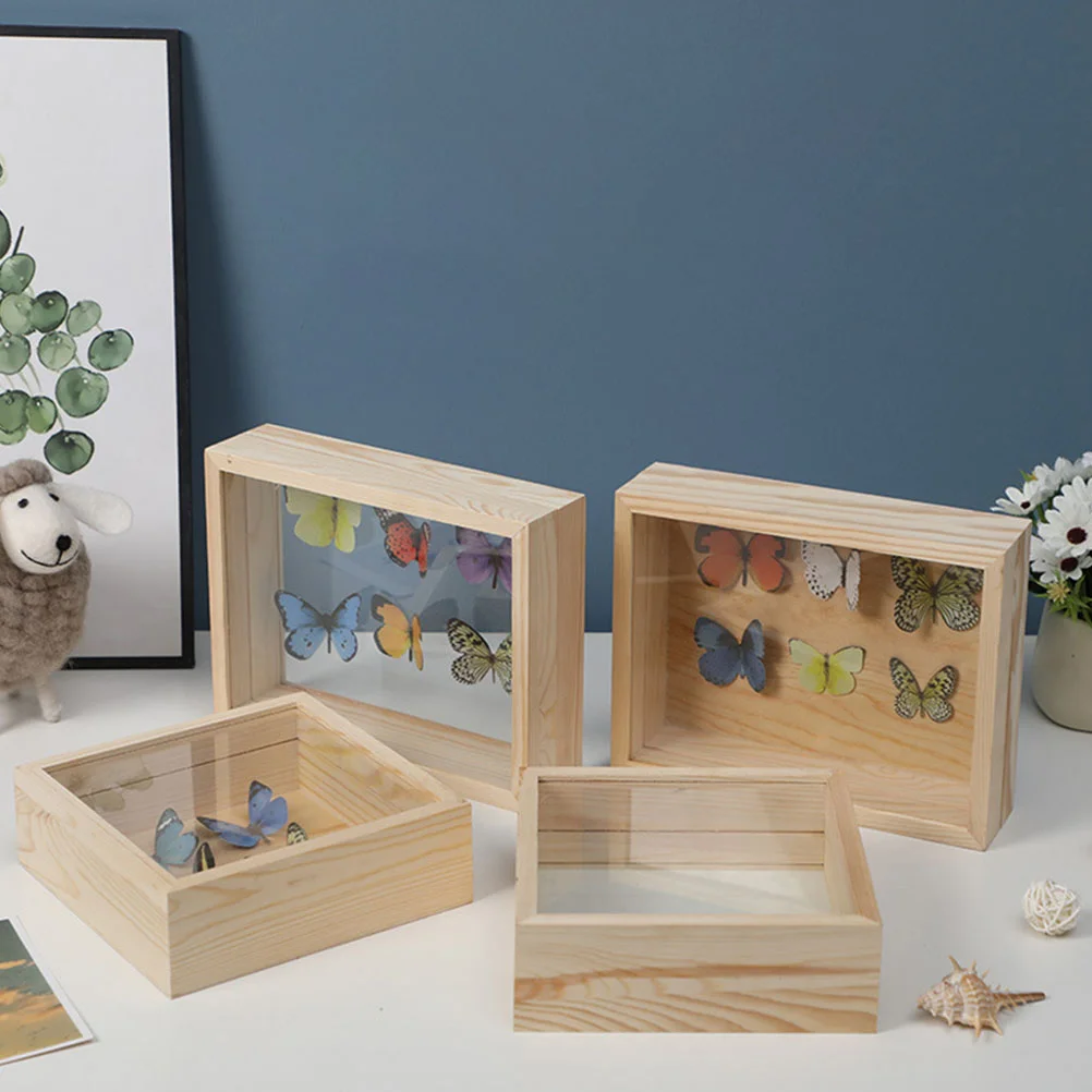 Entomology Display Boxes Case Butterflies Specimen Stand Butterfly Mounting Frame Wood