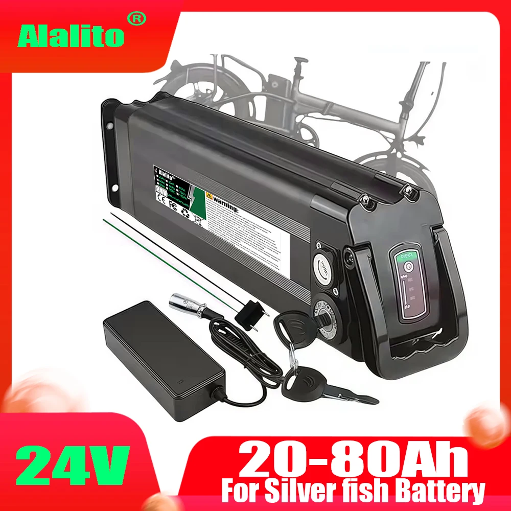 Air transportation,For folding power assisted bicycle Silver Fish model,24V,20Ah-100Ah