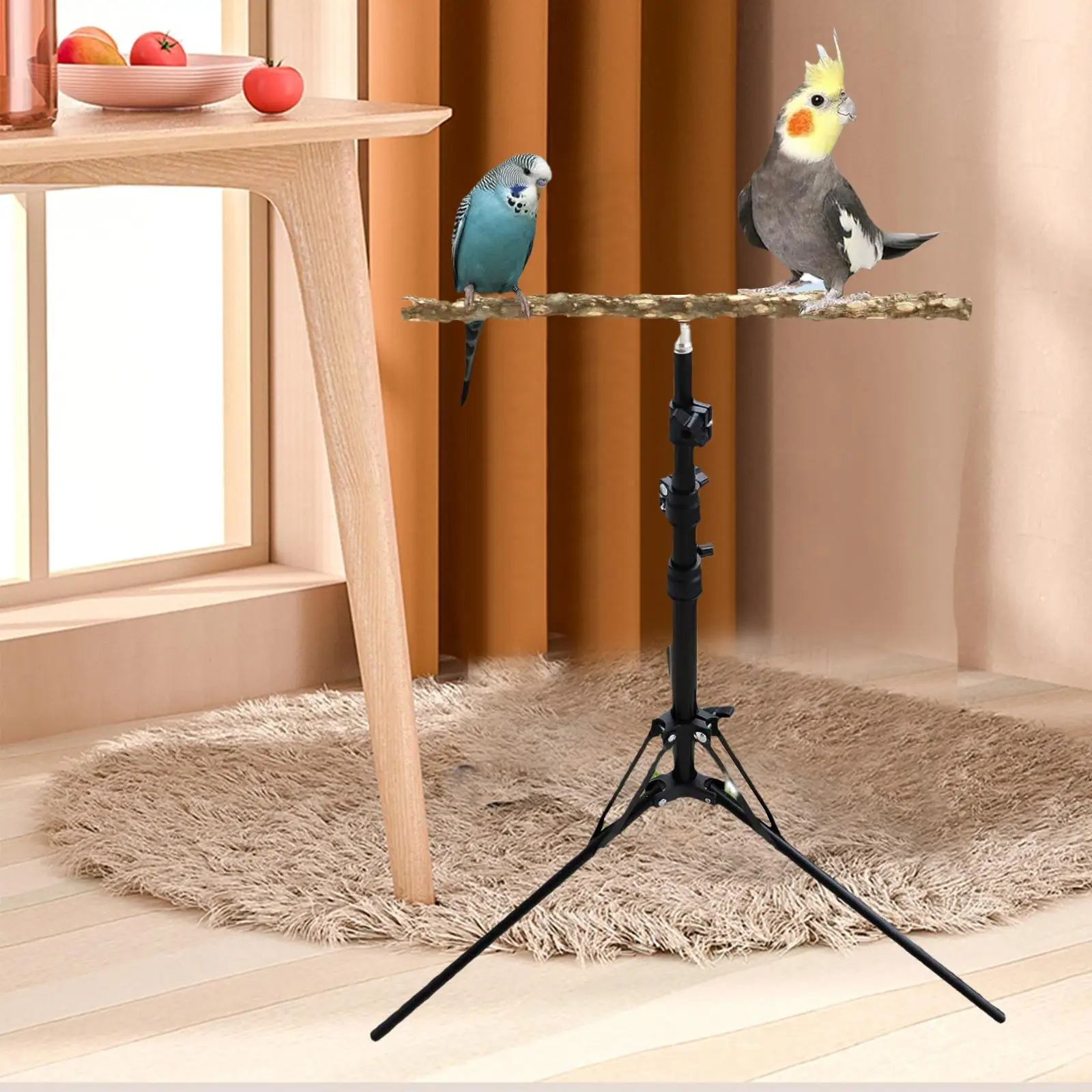 Parrot Perch Toy Bird Training Perch Stand Height Adjustable for Cockatiels Lovebirds Finches Accessories