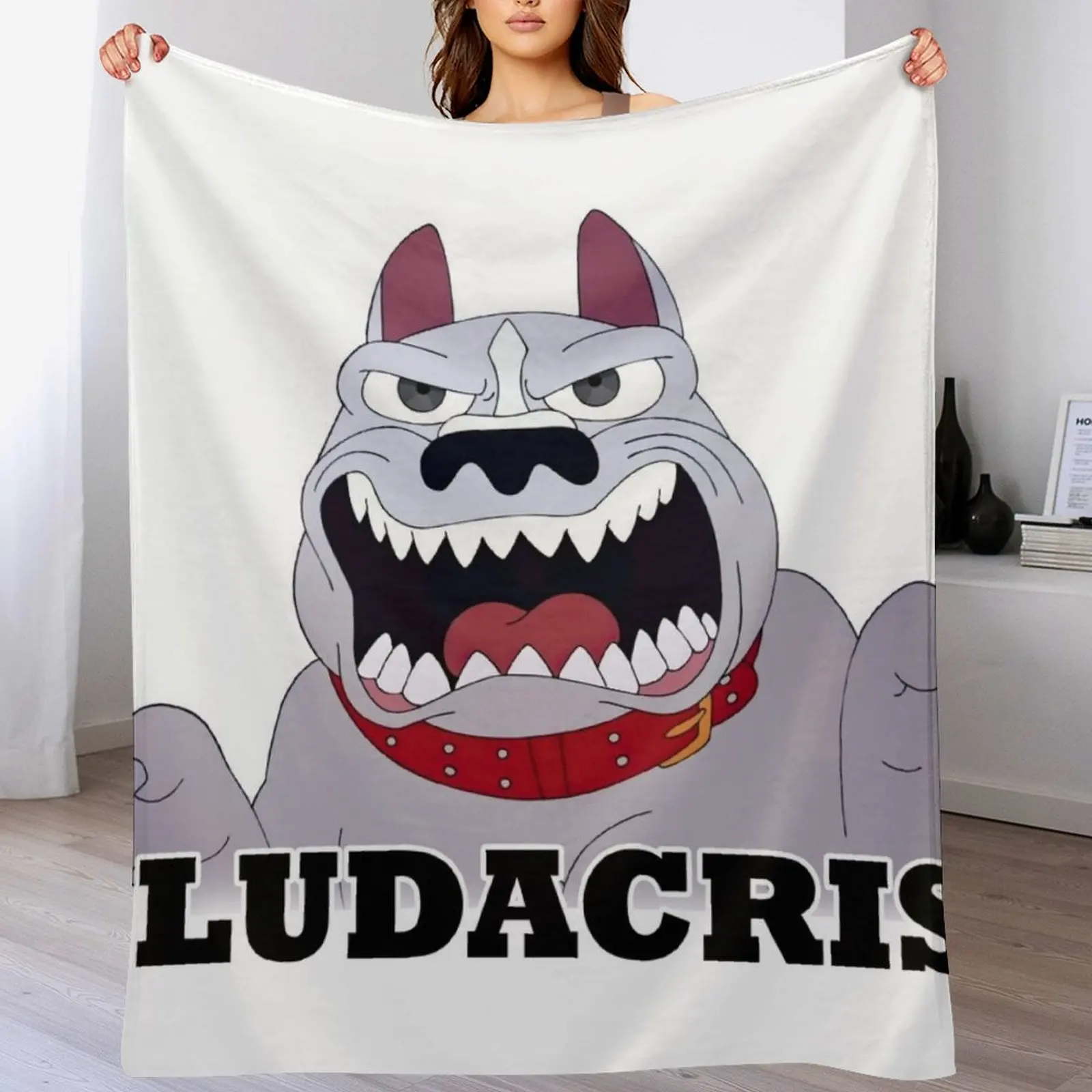 

BIG MOUTH Featuring Ludacris Pitbull Throw Blanket Lightweight Warm Blanket for Travel Camping