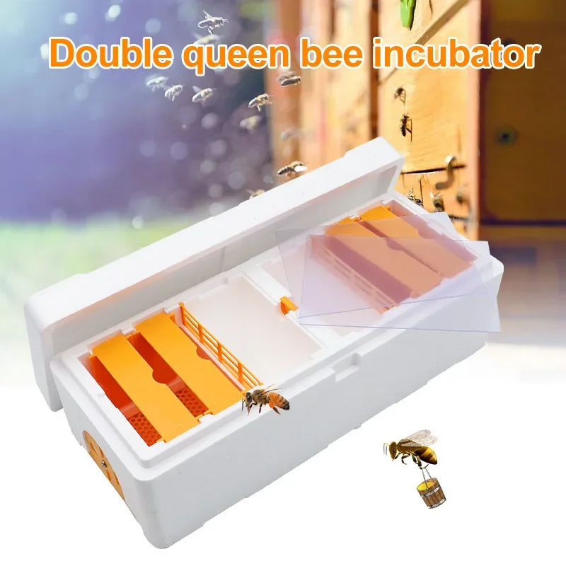 Double Queen Breeding Box, EPS Foam Pollinator Queen Bee Mating Nuc Box, Beehive Beekeeping Tool for Queen Rearing
