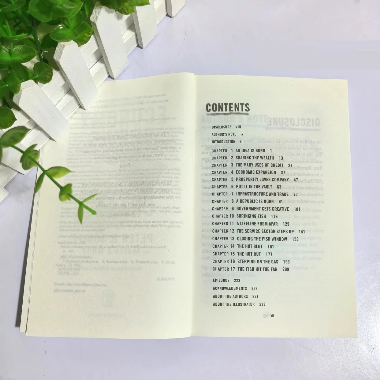 How An Economy Grows and Why It Crashes Paperback Book in English