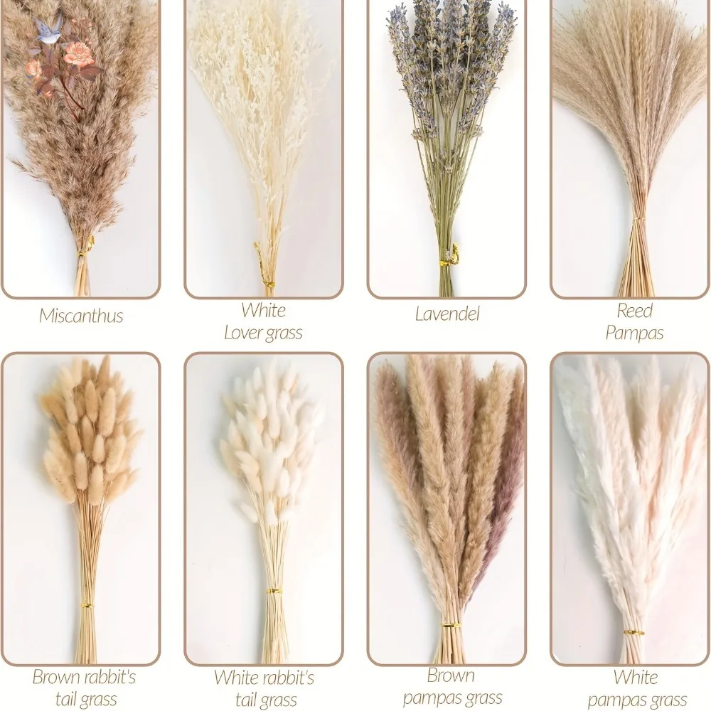 80 قطعة باقة عشب بامباس القطيفة زهور مجففة طبيعية ريفي شيك ديكور المنزل الخزامى أرنب القضبان حزمة تحف الزفاف #2