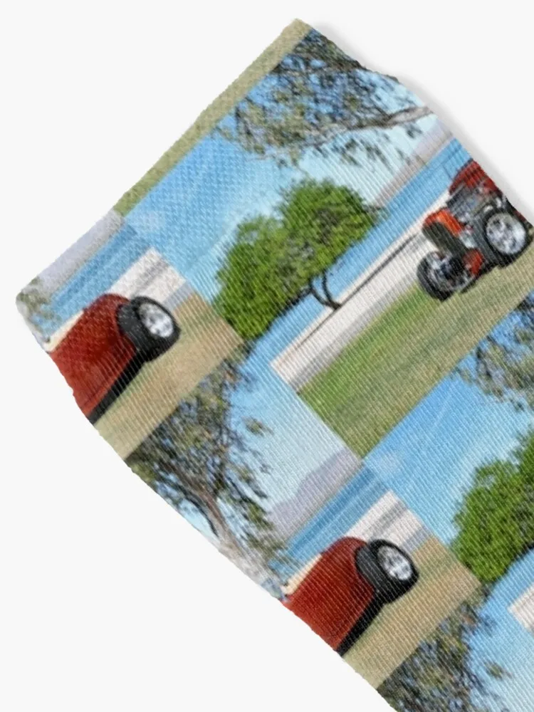 Streetrod By The Lake Socks Cotton Socks Man