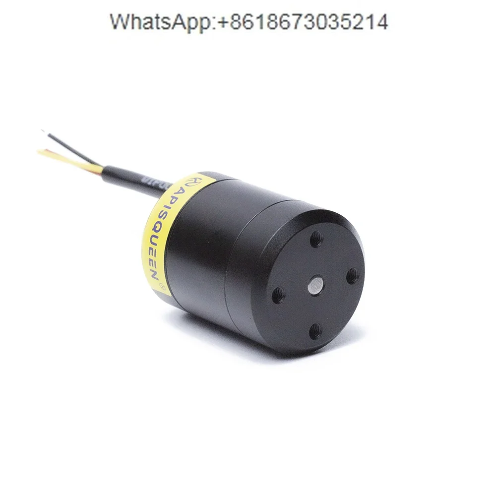

APISQUEEN underwater motor 2828 12-24V 80-150W brushless waterproof motor for thrusters