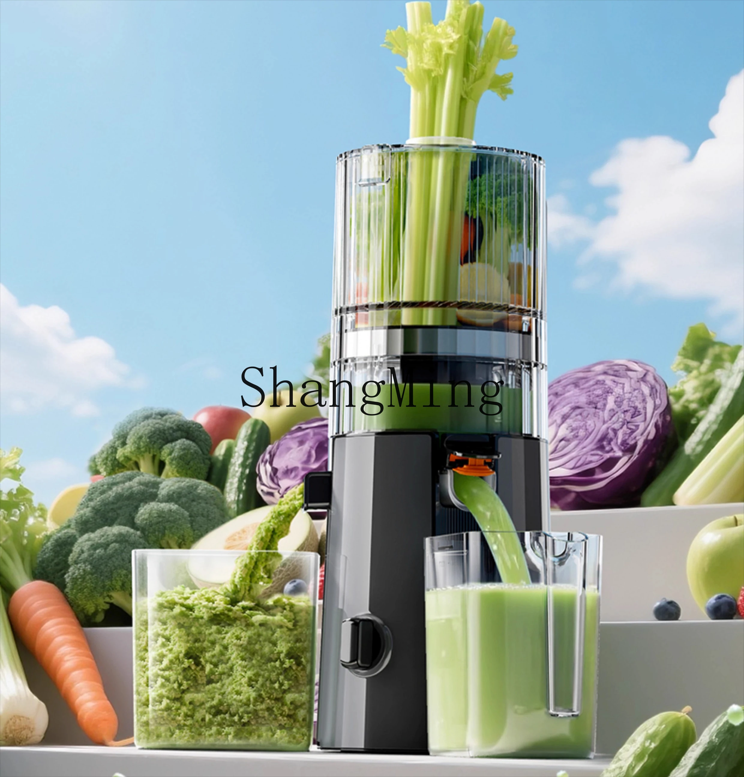 ZYY grote diameter slakken sap scheiding huishoudelijke kleine vruchtensap kookmachine mengmachine