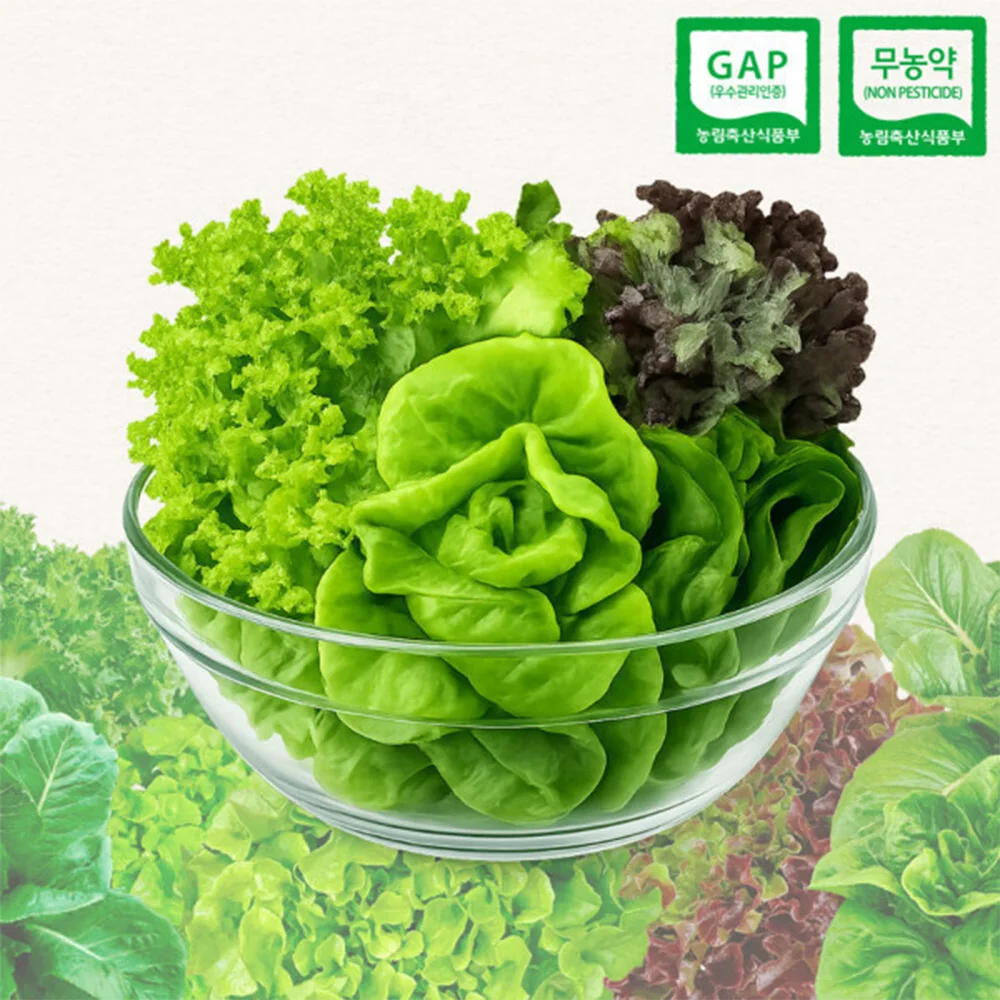 Vegetales Europeos para Ensalada Ecológicos Sin Residuos de Pesticidas 1 kg (3-6 Tipos)