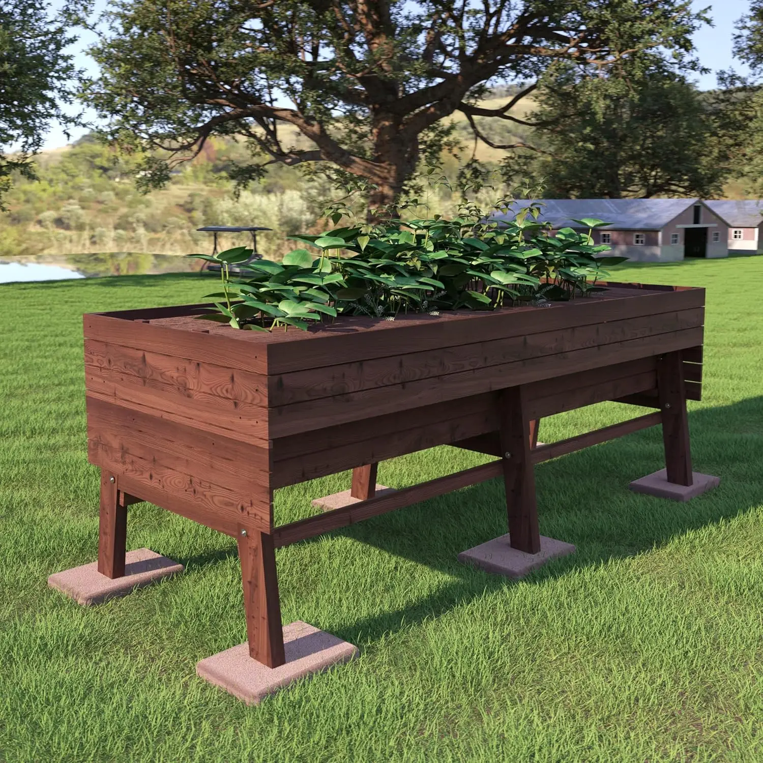 Outdoor Gardening, Cedar Planter Box, Rustic Brown, 6x3x2FT with Liner, Legs, 837lbs Capacity for Vegetables, Flower, Herb