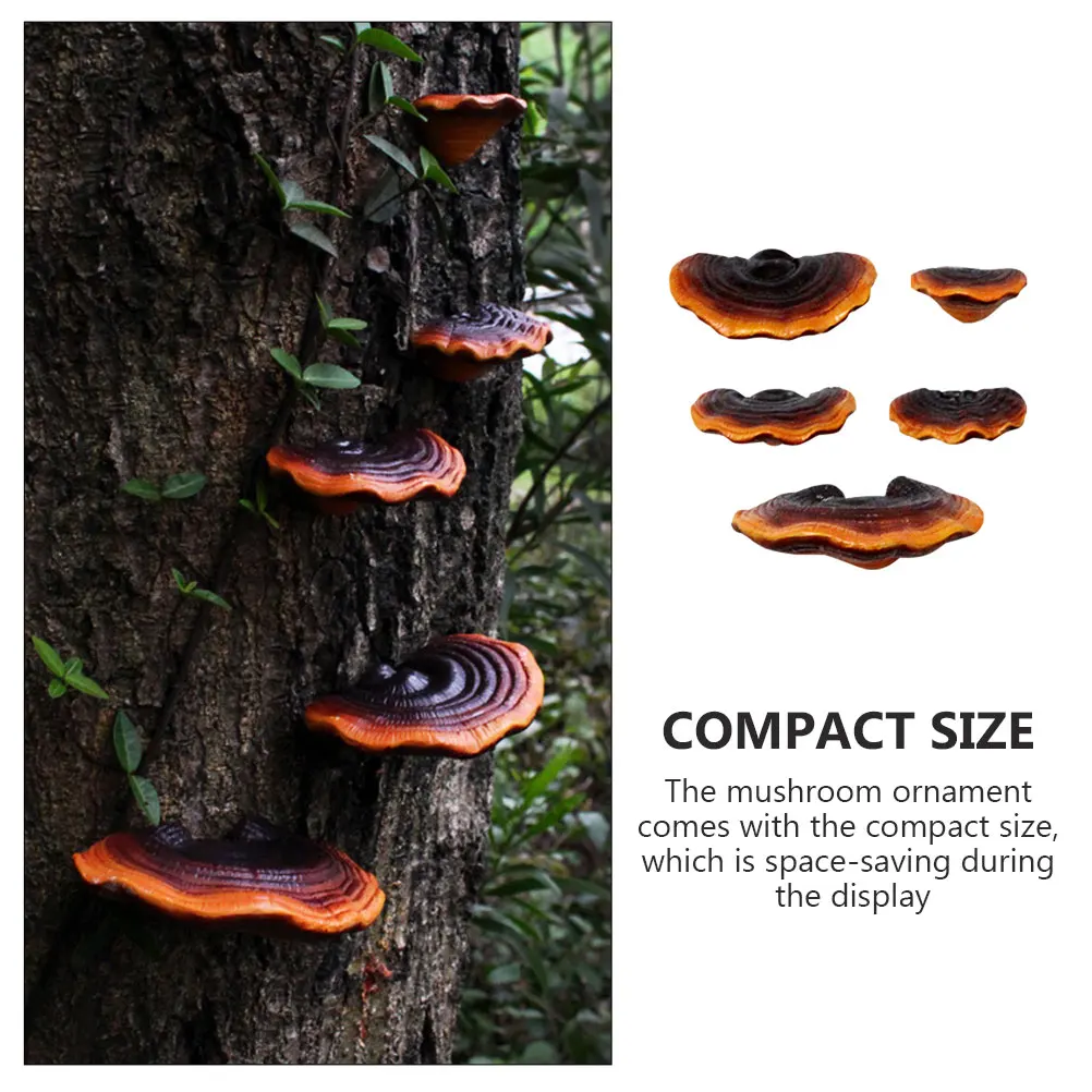 

3pcs Miniature Mushroom Garden Decor Resin Simulation nament Landscape Decoration Mushroom for Indoor
