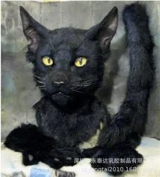 Black Cat Mask with Hairs Halloween Costume Party Novelty Animal Head Rubber Latex Mask