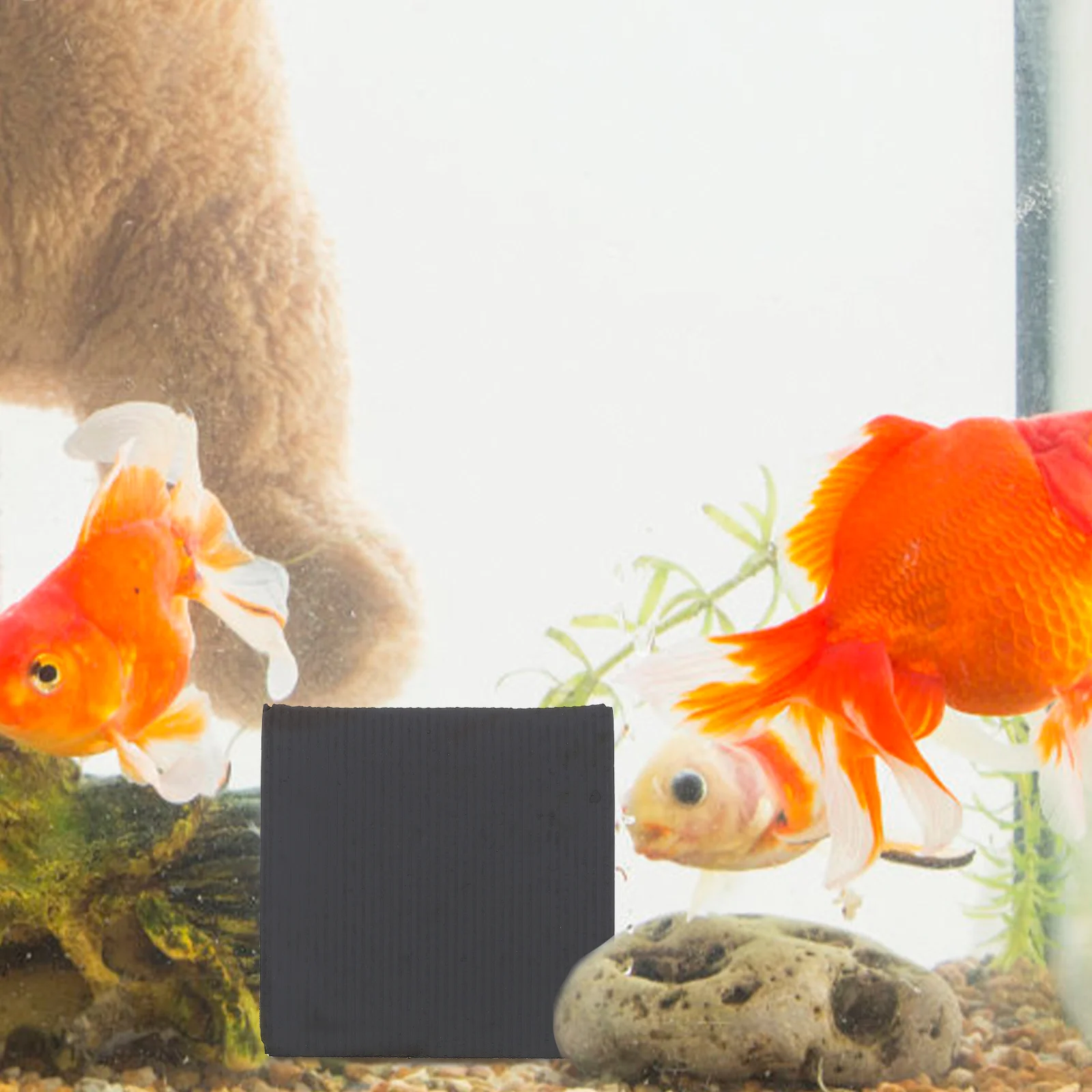 

Aquarium Water Purifier Cube 10x10x10cm Filter for Fish Tank Horse Trough Activated Carbon High Porosity Safe Material