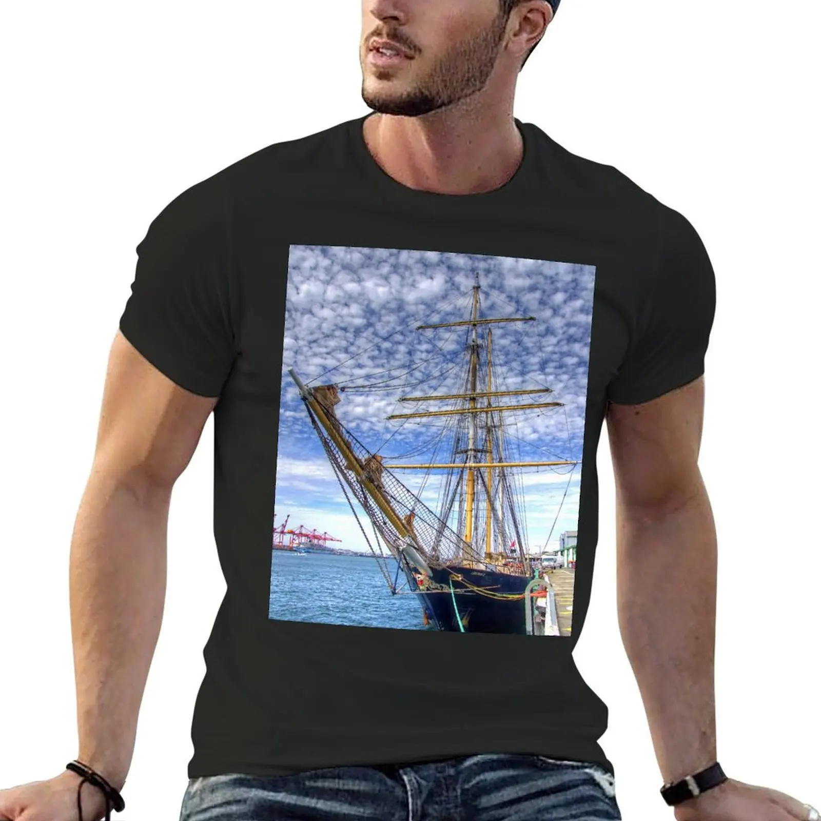 The Port of Fremantle WA - HDR T-Shirt blanks anime t shirts plain white t shirts men